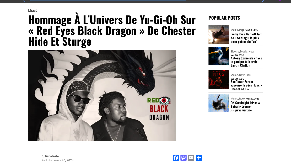 Picture of French Hip-Hop Article
